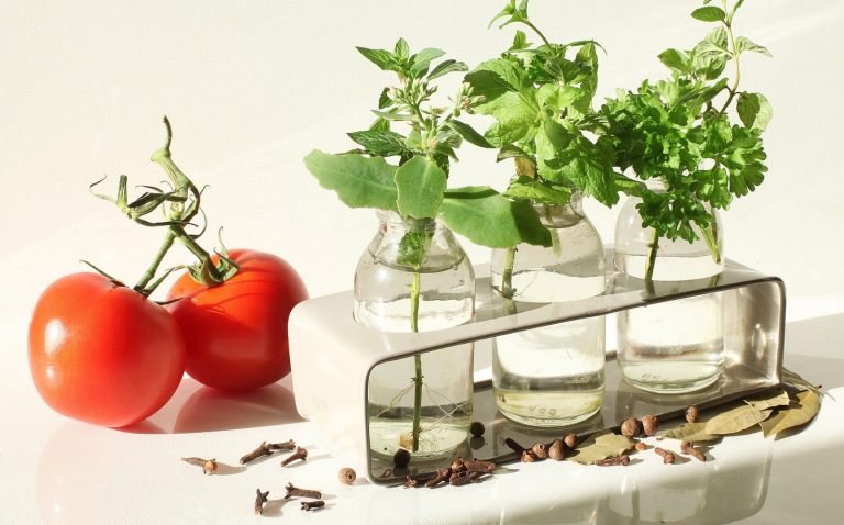 Czy chcesz zostać miejskim ogrodnikiem?