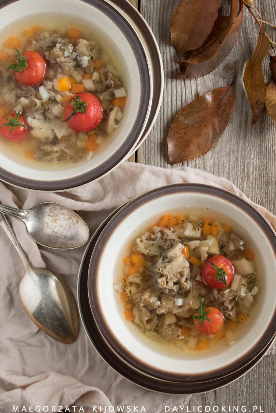 Leśna zupa z kozią brodą - przepis